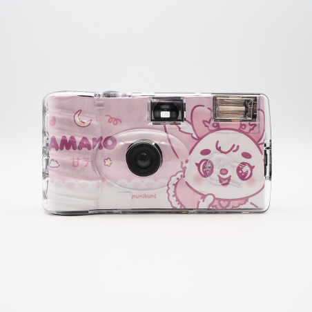 Disposable camera - Amako